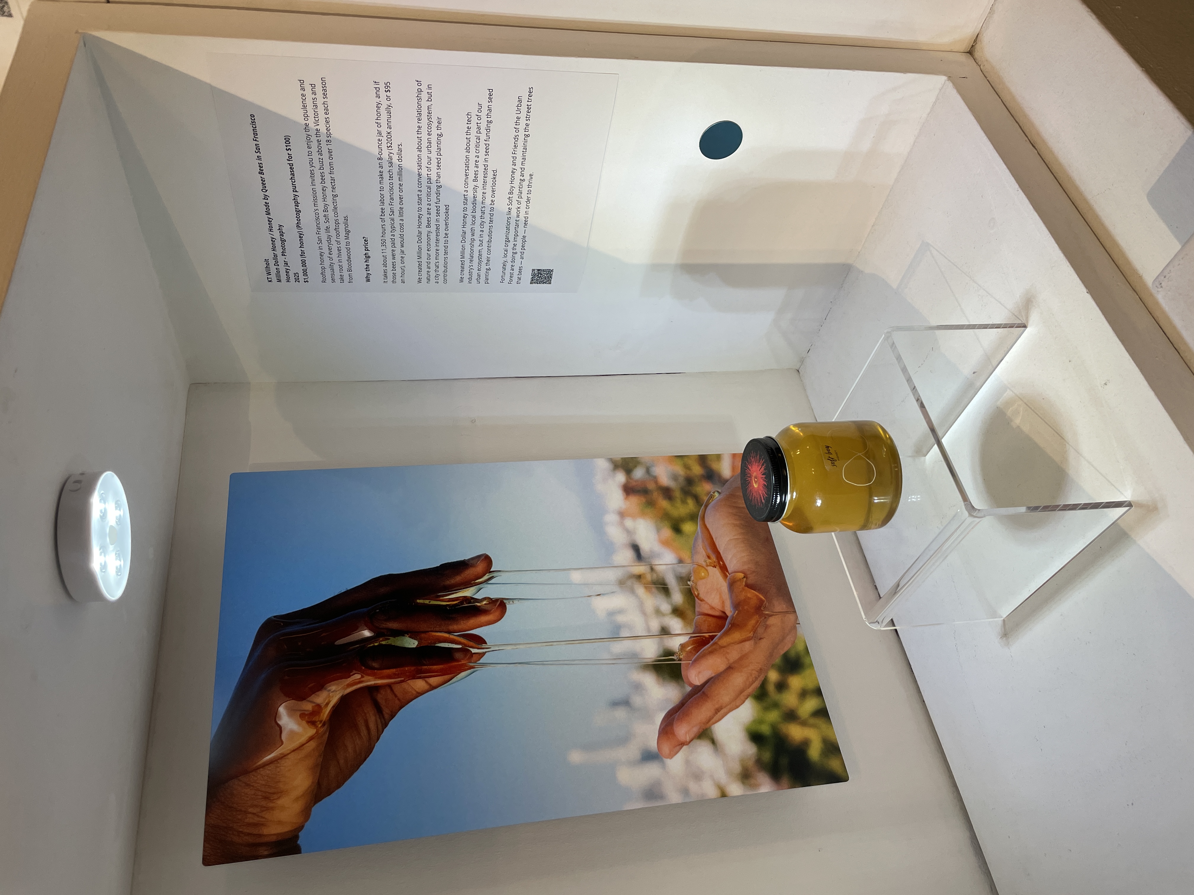 Million Dollar Honey Art Gallery Installation