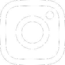 Butterfly Icon